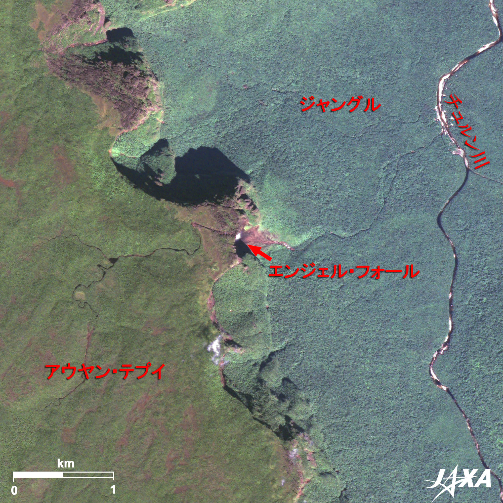 世界最大の落差を誇る滝 エンジェル フォール 地球が見える Jaxa 第一宇宙技術部門 地球観測研究センター Eorc