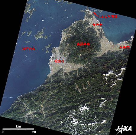 松山市とその周辺