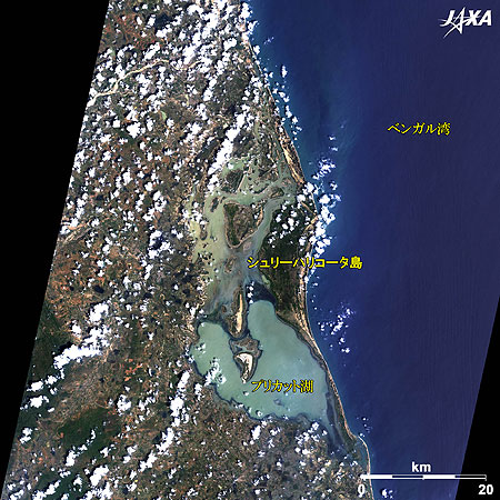 シュリーハリコータ島の周辺図