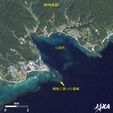 大浦湾周辺の2010年