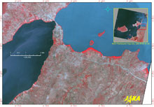 ビタ地区(画像下部)北の半島とルシンガ島(画像左上)をつなぐ埋立地の道路が分断する湖水面(フォールスカラー画像)