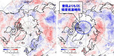 北極域の夏期地表面輝度温度の偏差（2012、2013年）