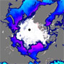 北極海の9月の海氷面積：観測史上初めて5年を超えて最小記録を更新せず