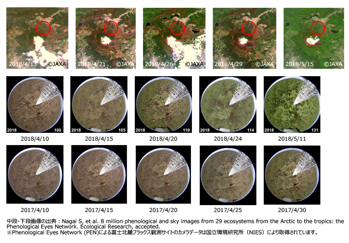 「しきさい」による2018年4月の富士山周辺のカラー合成画像[R：G：B＝VN08：VN06：VN03]（上段）とPhenological Eyes Network (PEN)による富士北麓フラックス観測サイトの2018年4月（中段）、2017年4月（下段）の写真。「しきさい」画像中央の白い積雪域が富士山頂付近に当たる。