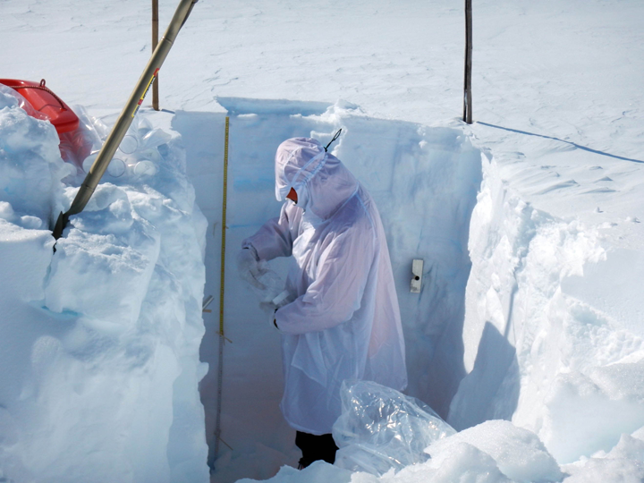 積雪断面構造の観測の様子（観測者：的場助教）