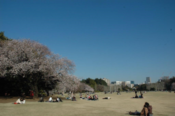 4月4日16時半ごろの新宿御苑