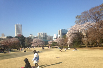 4月4日16時半ごろの新宿御苑