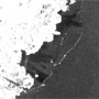 モーリシャス沿岸における油流出事故を受けた「だいち2号」の観測協力