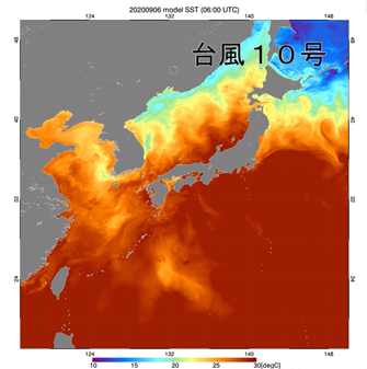 2020年8月10日～9月10日の6時間毎（UTCの0時、6時、12時、18時）の海面水温と、AMSR2海面水温