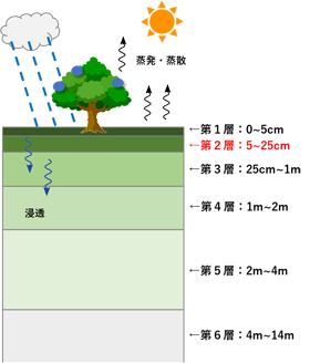 TE-Japanが表現する陸上での水収支のイメージと土壌の各層の厚さ