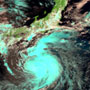 日本に接近する台風１１号（マーワー）