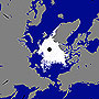 北極海氷の面積 観測史上2位の小ささに（密接度は過去最小）