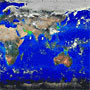 Carbon cycles based on the influence of phytoplankton in the ocean