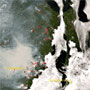 Forest Fires in Eastern Siberia