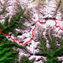 Cho Oyu, Himalayas: Eight-thousand meter peak and Glaciers