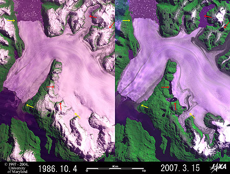 Advance of Pío XI Glacier