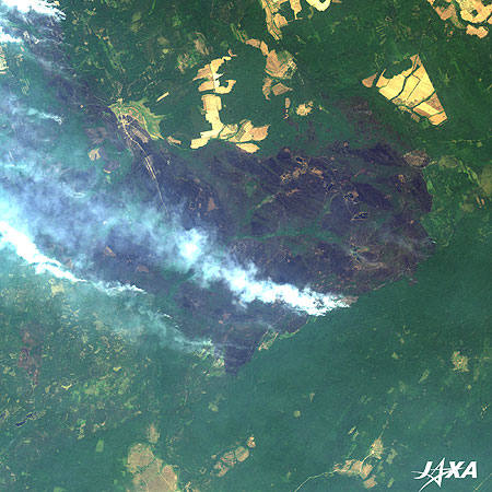 Forest Fires in the South of Nizhniy Novgorod