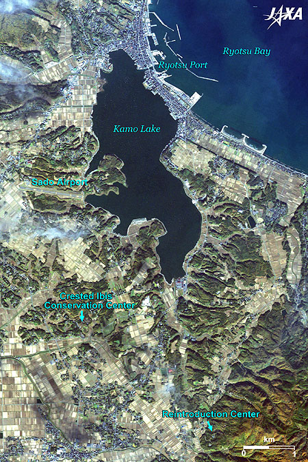 Enlarged Image of Ryotsu Port and Kamo Lake