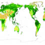 Climate Change and Carbon Cycle   - Vegetation as the Moderator of Greenhouse Effect -