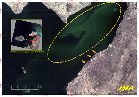 The lakeshore of Lake Victoria extending southwest of Mbita district(True Color image, observed on December 5, 2010) 