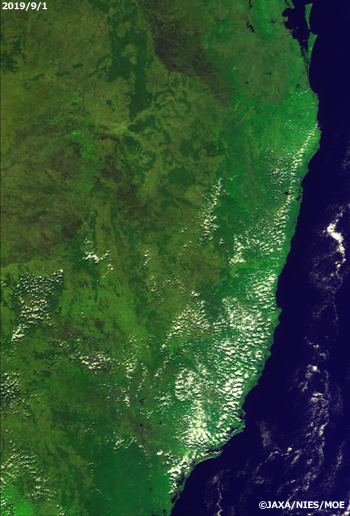 RGB composite images of the eastern Australia captured by CAI onboard "IBUKI" (GOSAT). From top left; September 1, September 7 2019 /From bottom left; difference between November 6 and November 9. Each data of band 2 (674 nm), band 3 (870 nm) and band 1(380 n) was allocated to RGB.