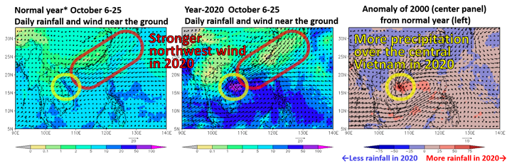 Daily rainfall [mm/day] (color) by GSMaP and wind (vector) near the ground (925 hPa surface) by JMA's JRA-55 during October 6-25.