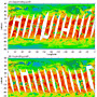 Thermography of the Earth by GLI thermal channel