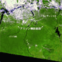 Scars of Deforestation in Amazon