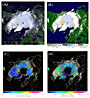 Snow Ice in the Northern Hemisphere (April 2003)