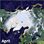 Accelerated Sea-Ice Melting in the Arctic