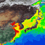 Phytoplankton bloom in spring in seas around Japan