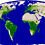 Wave of Fresh Green Coloring the Northern Hemisphere