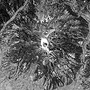 Three-Dimensional View of Mt. Haruna