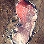 Pink Lake Natron, Tanzania