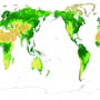 Climate Change and Carbon Cycle   - Vegetation as the  Moderator of Greenhouse Effect -