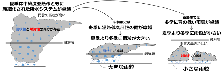 北西太平洋の中緯度と亜熱帯における夏季と冬季の降水システムとその平均雨滴粒径の違いを示す概念図。